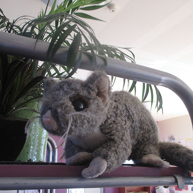 Photo of a toy koala on a climbing plant